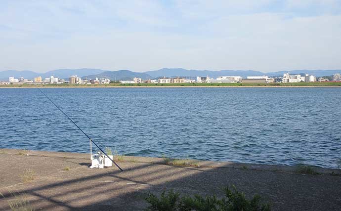 投げキス釣りで20.5cm頭に21匹　潮目狙ったちょい投げで連発