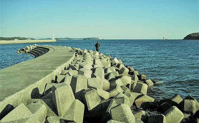 空き時間で堤防「穴釣り」を満喫　小型ながらメバルにクジメ【愛知】