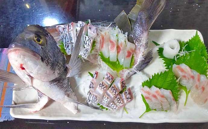 チヌ（クロダイ）釣り基礎知識　【生態・釣り方種類・仕掛け・食べ方】