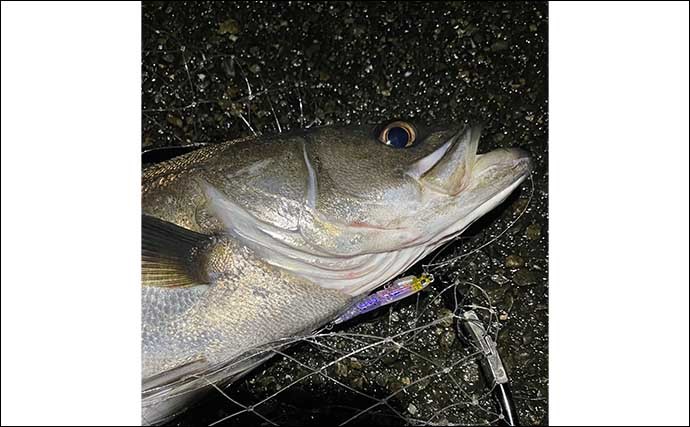 陸っぱりルアー釣りの革新的アイテム7選　買ったら釣りが変わった？