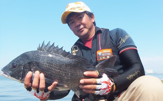 チヌ落とし込み（ヘチ釣り）解説　エサの使い分けが釣果UPの鍵