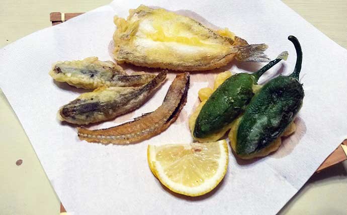 東京湾奥で美味なゲスト魚『ギマ』増殖中？　ちょい投げ釣りでご対面