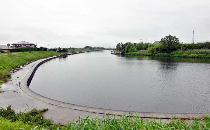 今週のヘラブナ推薦釣り場【茨城県・横利根川】