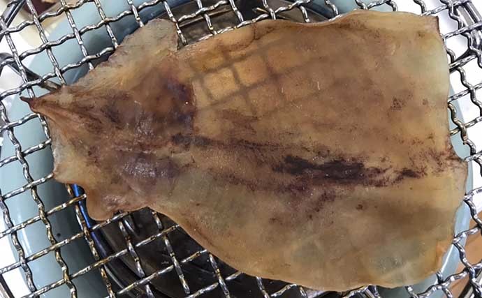 釣り人的「干物」レシピ：ムギイカで作る乾物スルメ　干し加減はお好みで