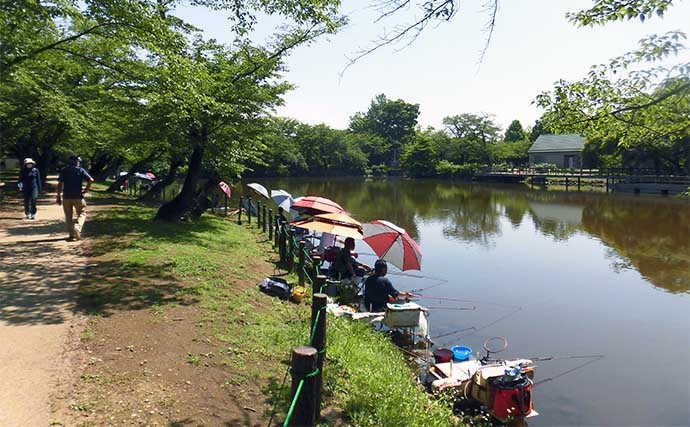 今週のヘラブナ推薦釣り場【埼玉県・太田ヶ谷沼】