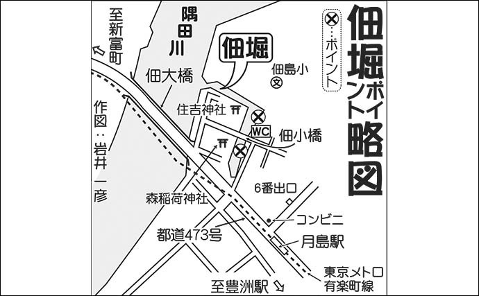 夕マヅメに都心でハゼ釣り堪能　釜揚げシラスエサで35尾手中【佃掘】