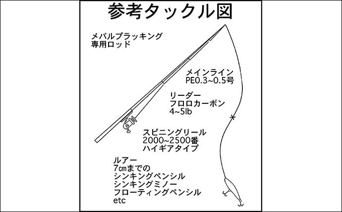 梅雨メバルのプラッギングゲーム入門　道具・ルアー・ポイントを解説