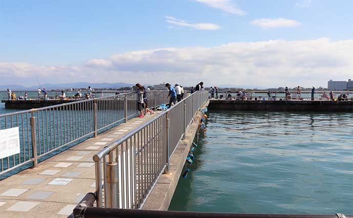 【2022年・初夏】堤防釣り入門　サビキ・ちょい投げ・ブラクリ徹底解説