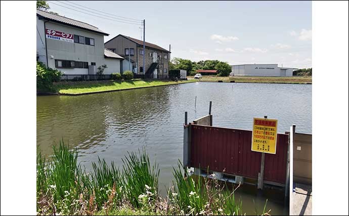 今週のヘラブナ推薦釣り場【千葉県・道の口沼】