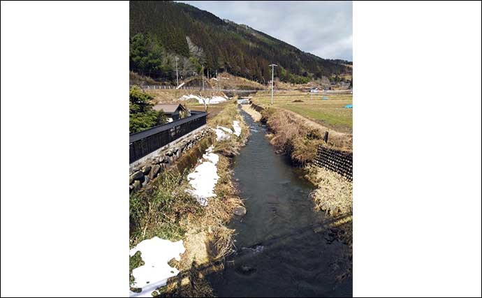 渓流エサ釣りでアマゴ30匹超え　「アマゴ起こしの水」で本番突入か？