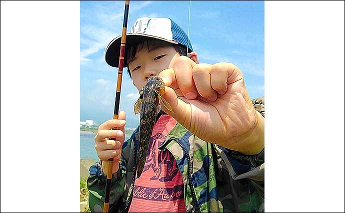 息子と楽しむテナガエビ釣り　止水エリア狙い連発【神奈川・酒匂川】