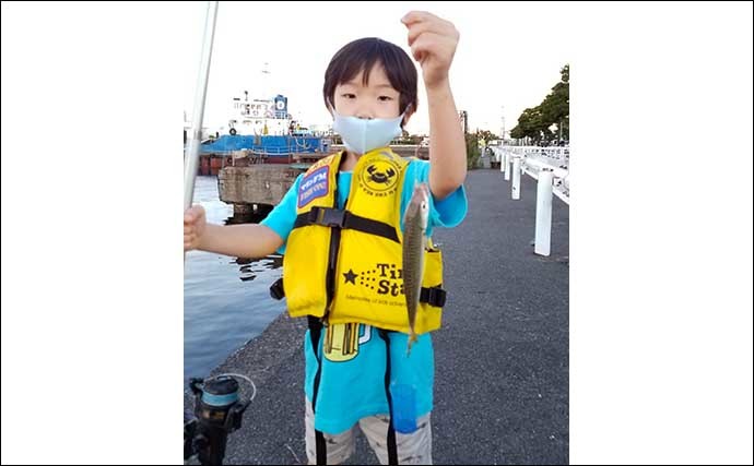 孫連れて岸壁サビキ釣りで夕涼み　25cm頭にサバ12尾の釣果に満足