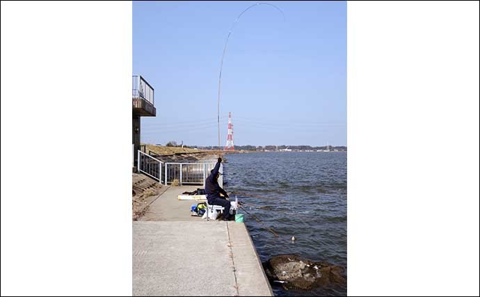 今週のヘラブナ推薦釣り場【茨城県・鰐川】