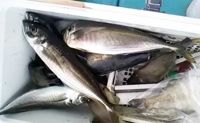 【福井】沖釣り最新釣果　ライトジギングで70cm超えサワラ浮上