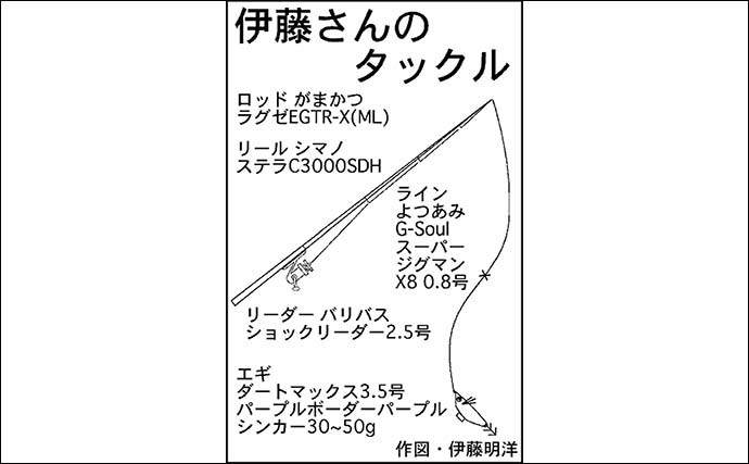 春のティップランエギングで2.6kg頭にキロアップばかりで船中全員安打