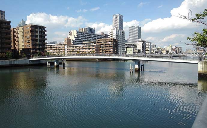 晩秋の風物詩「落ちハゼ」釣り徹底解説：東京湾エリア好釣り場3選