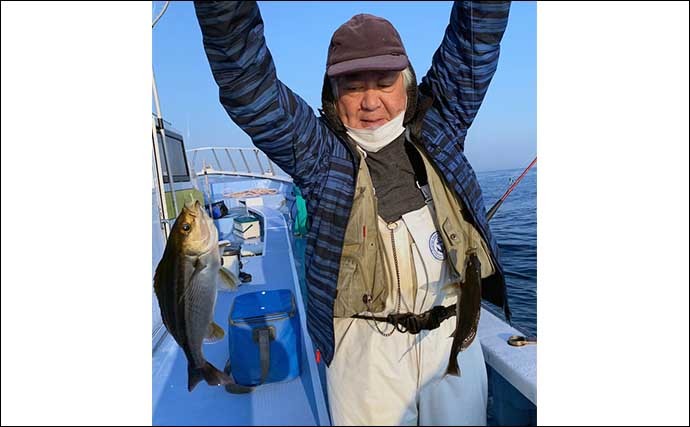 外房の船イサキ釣りで36cm頭に50尾手中　シマアジのバラシが心残り