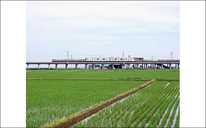 今週のヘラブナ推薦釣り場【千葉県・磯山ワンド】