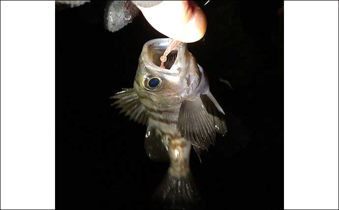 コロナ禍で釣り人増加中　初釣行前に「最低限知っておきたい」ルール