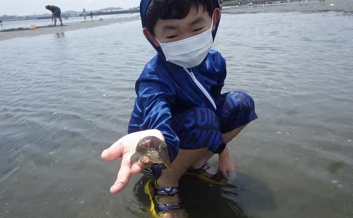 家族で潮干狩り満喫　アサリ1.7kgにツメタガイ27個【神奈川・海の公園】