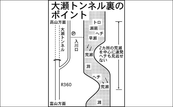 宮川のアユトモ釣りで21cm頭に74匹　渇水の荒瀬を細かく攻めて連発