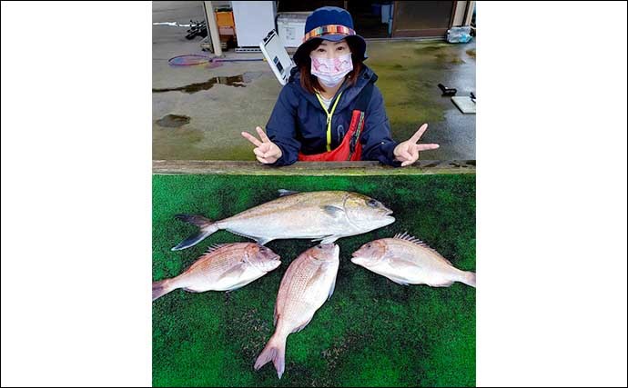 【三重県】カカリ釣り&海上釣り堀最新釣果　筏でマダイにクロダイ好調