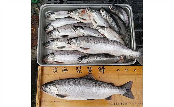 琵琶湖でビワマストローリング　群れに当たり54cm頭にリミットメイク