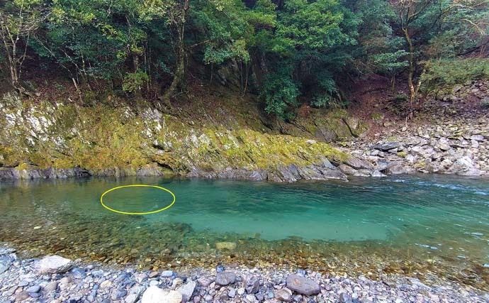 解禁直後の渓流エサ釣りで『本流ヤマメ』好釣　10連発ヒットも