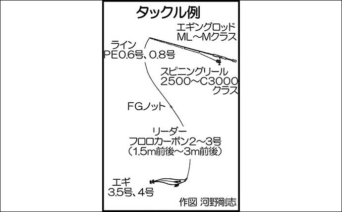 エギング徹底入門　【アオリイカ・コウイカ・ツツイカ対象毎に解説】