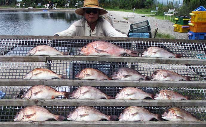 【三重・愛知】海上釣り堀＆カカリ釣り最新釣果　筏で良型クロダイ好捕