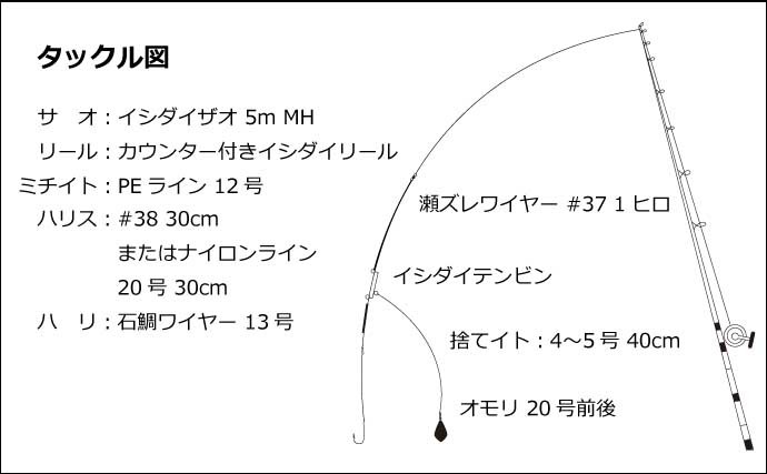 夏磯の王者『シブダイ（フエダイ）』釣り入門　ブッコミでの釣り方