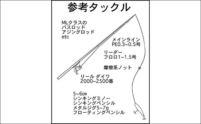 夏〜秋に人気の『メッキゲーム』入門解説　小さくても引き味は抜群