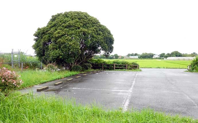 今週のヘラブナ推薦釣り場【千葉県・袋のため池】