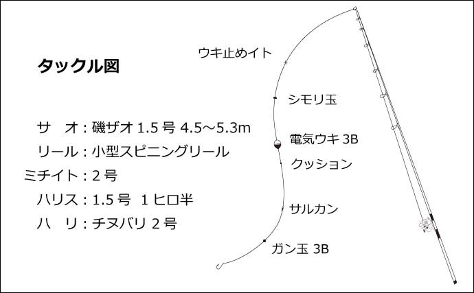 初夏の堤防アジ釣り解説　【タックル・仕掛け・場所選び・釣り方】