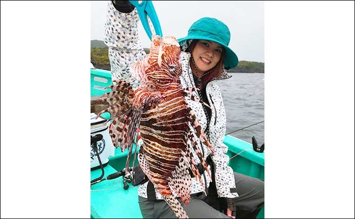 「胴突き」根魚五目釣りでアカハタ　光るオモリが大当たり？【東伊豆】