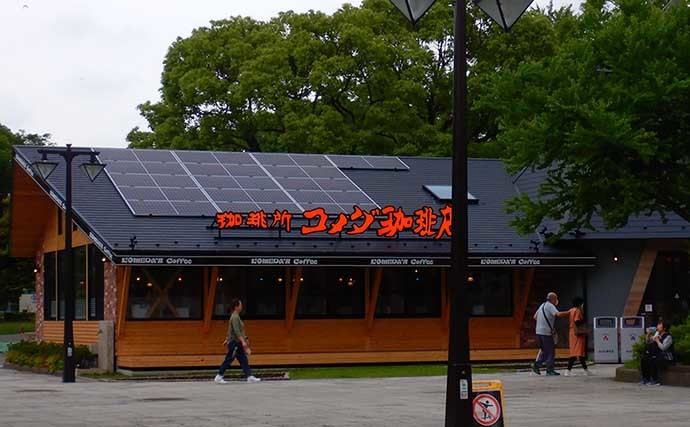 都内の公園でブルーギルの数釣り堪能　魚影抜群で2時間強で100匹超え