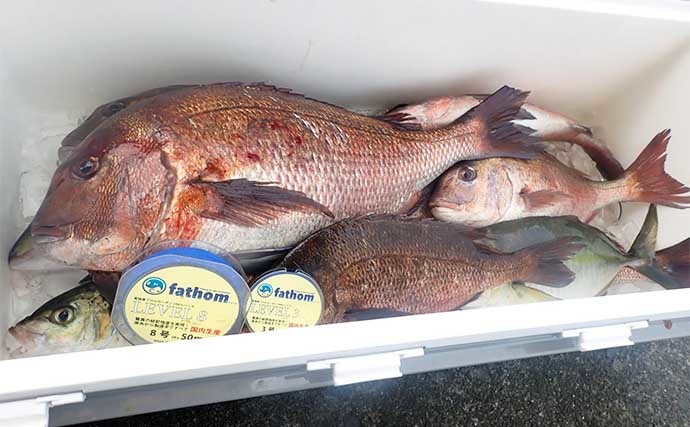 海上つり堀でシマアジに大ダイ　ウキ釣りとミャク釣り使い分けで攻略