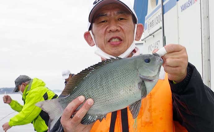 相模湾タイ五目釣りで多彩魚種　マダイ他クロダイにメジナにイシダイ