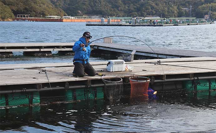 海上釣り堀でマダイ好捕　少年アングラーはヒラマサ＆カンパチ手中