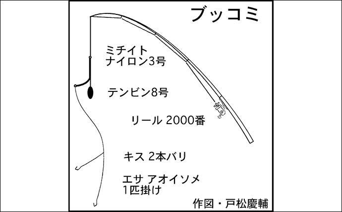 お手軽波止釣り満喫 サビキ＆ブッコミ釣りでお土産充実【愛知】