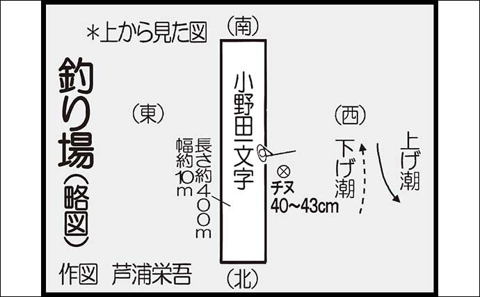 山口の沖波止でのフカセ釣りでチヌ13尾　時合いには1投1尾の入れ食いに