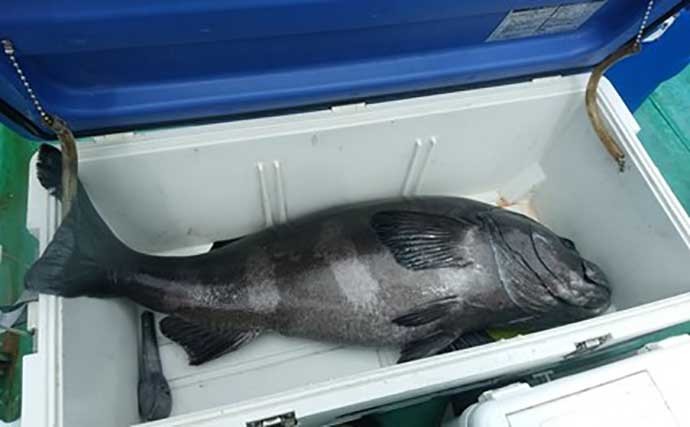 深海の大物『アブラボウズ』釣りで90kg級モンスター頭に船中11尾
