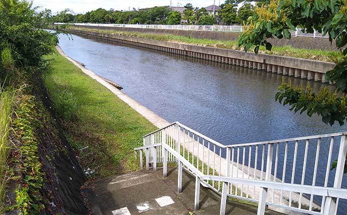 ハゼ＆テナガエビの好釣り場紹介：横浜〜藤沢市【神奈川】