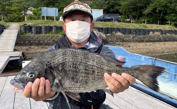 【三重】カカリ釣り最新釣果　各地で年無し含み良型クロダイ顔出し