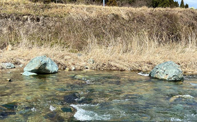 解禁直後の渓流エサ釣りでアマゴ17尾　1時間の短時間でキャッチ