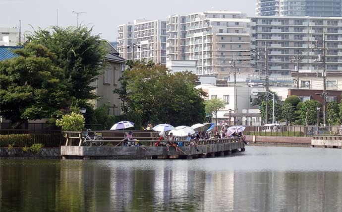 今週のヘラブナ推薦釣り場2022【東京都・水元公園内溜】