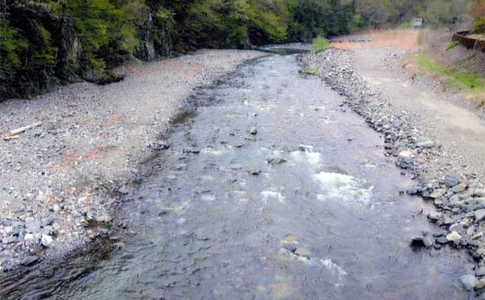 【2022年】おすすめアユ友釣り場：山梨・丹波川　水質よくアユが美味