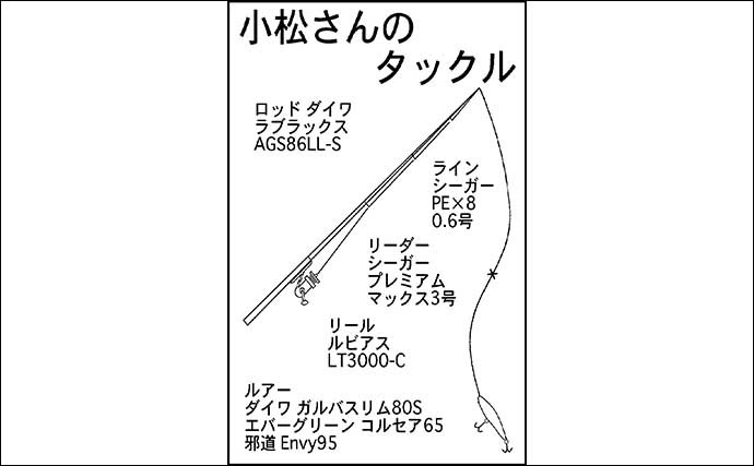 ゴロタ場でのルアーシーバス釣行で50cm級頭に2尾 藻場狙いが的中