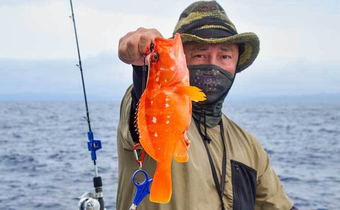 三重のタイラバ釣行でアヤメカサゴにキジハタ　釣果の秘訣は食わせの間