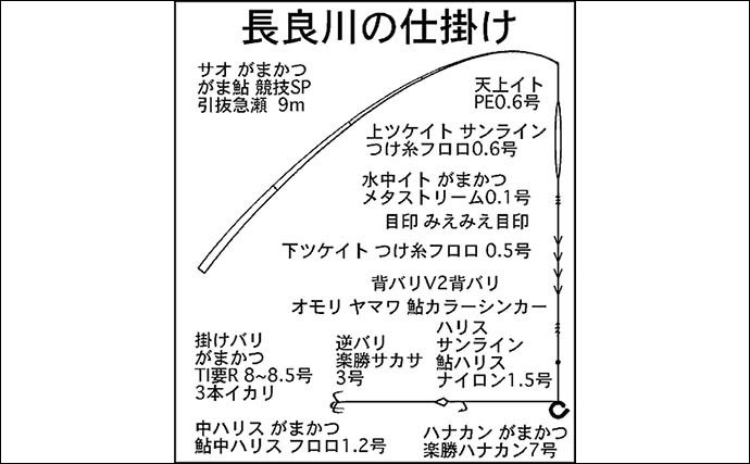 【2022年】おすすめアユ友釣り場：長良川中央漁協管内　終盤に大型も